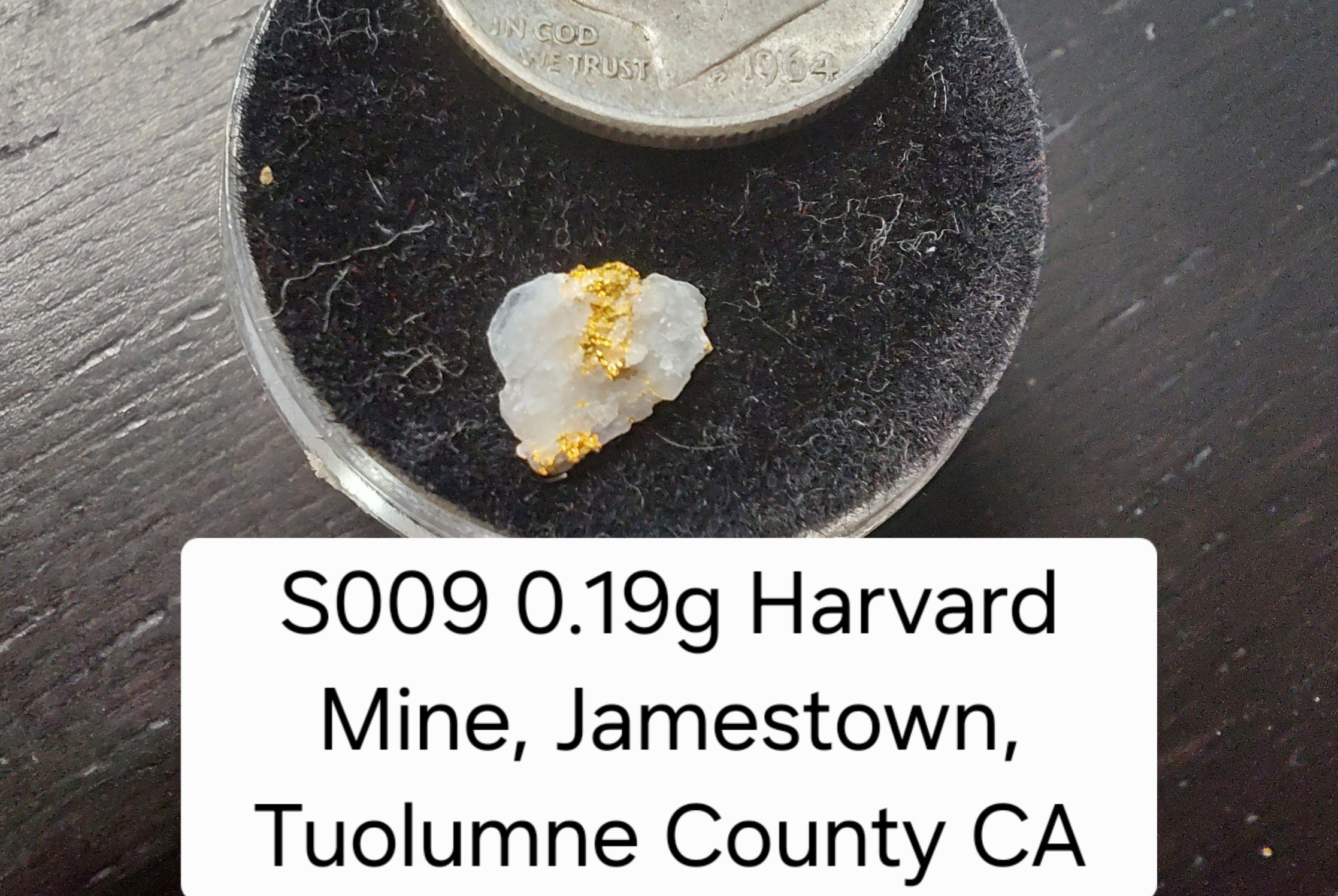 S009 0.19g Harvard Mine, Jamestown, Tuolumne County CA