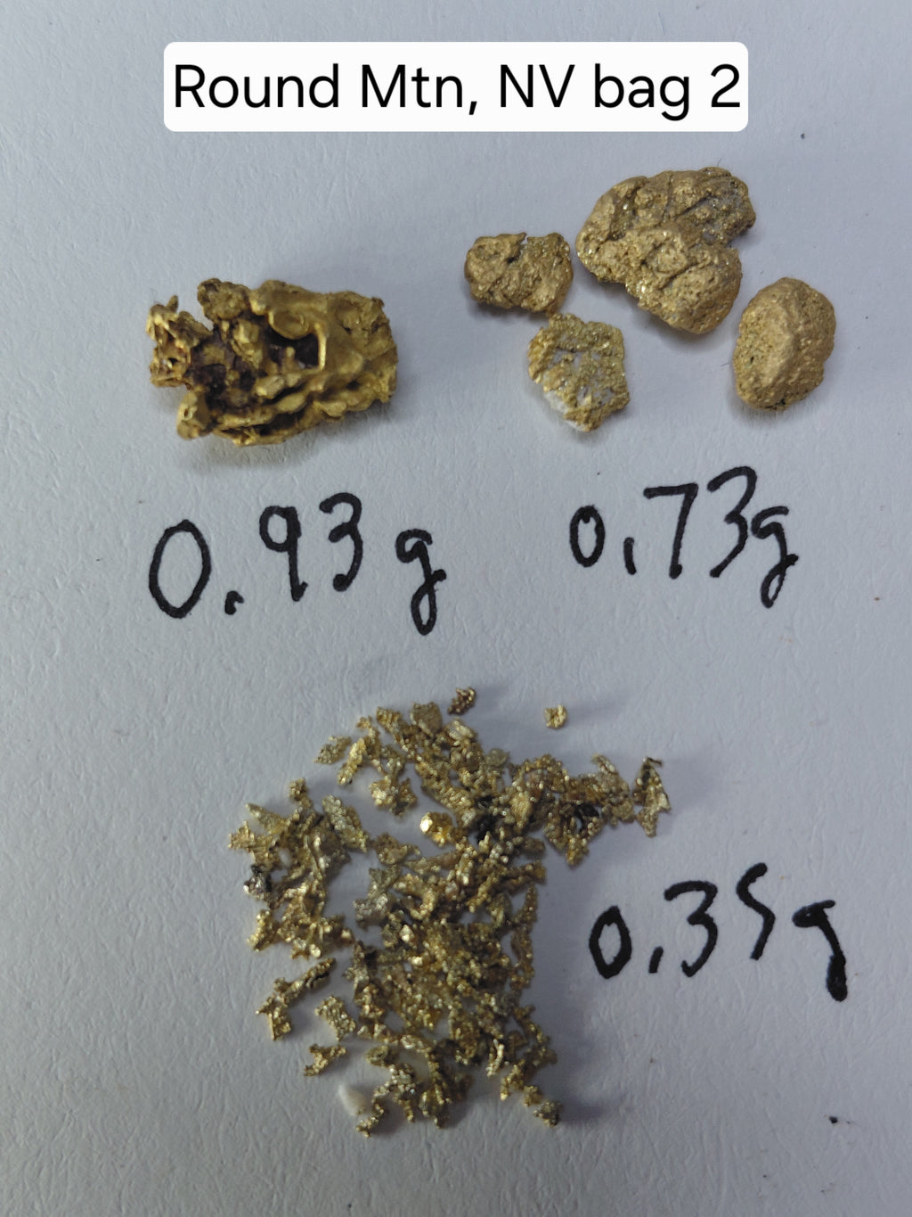 OLD SPESSIE (RM2) - Guaranteed Gold Paydirt Plus One Gold Specimen