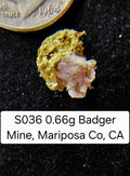 S036 0.66g Badger Mine, Mariposa Co, CA
