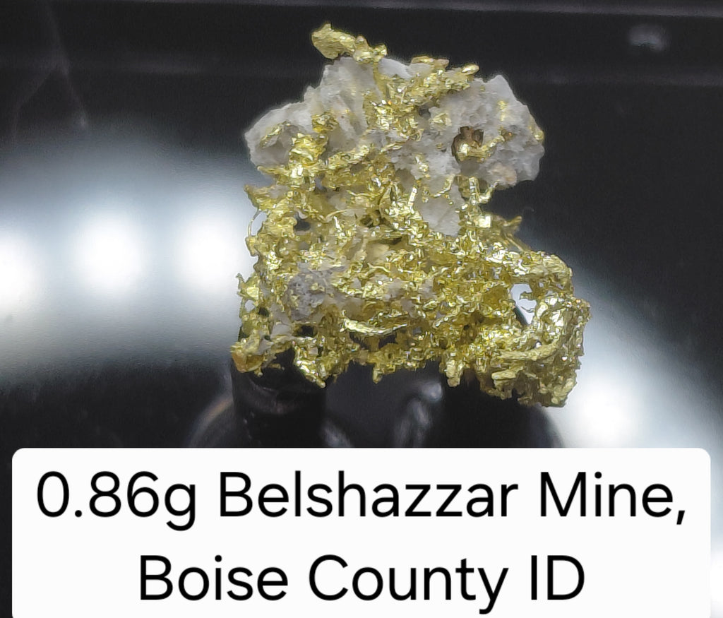 0.86g Wire Gold Filigree - Belshazzar Mine, Boise County, Idaho - Rare Specimen