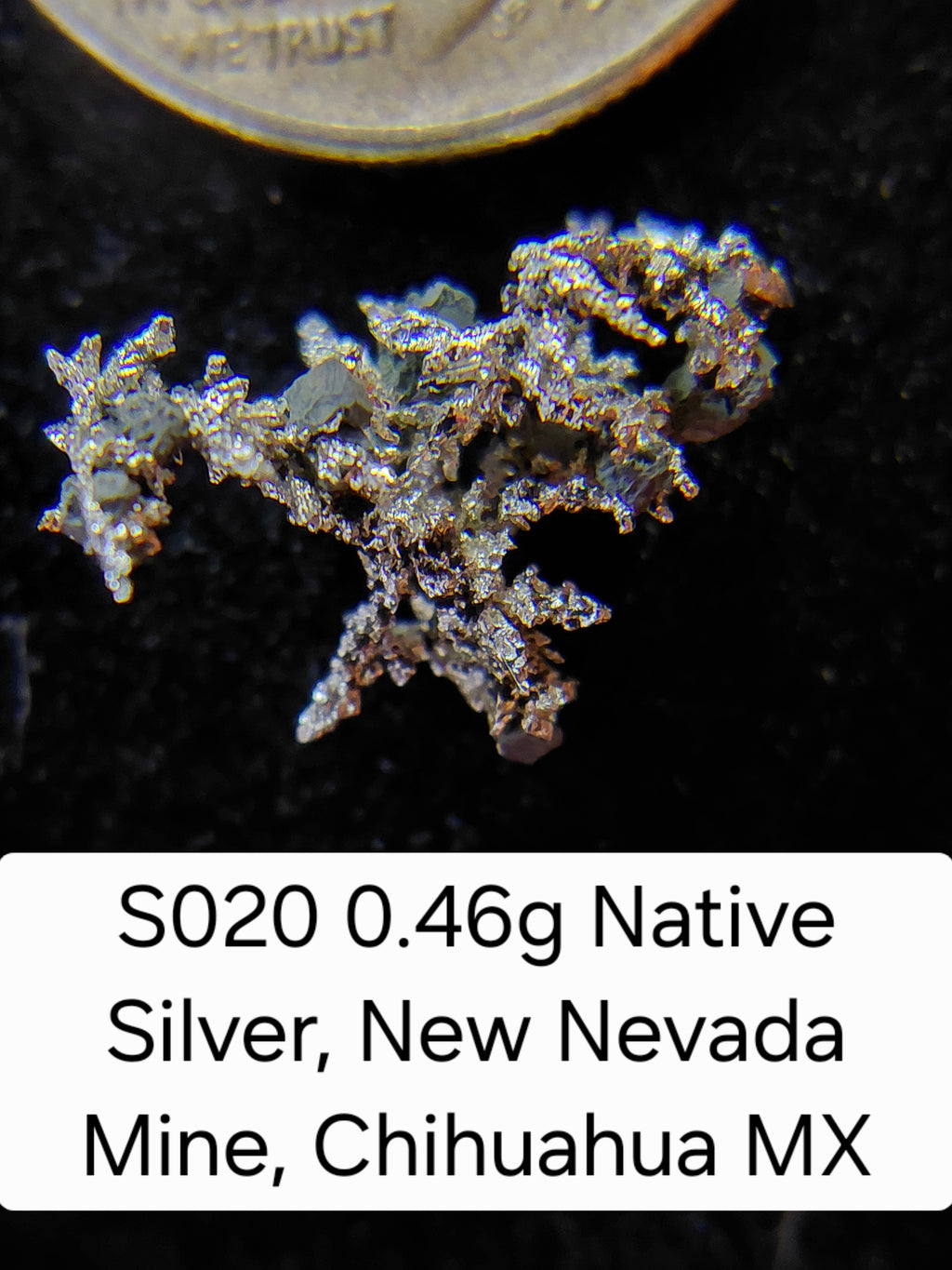 S020 0.46g Native Silver, New Nevada Mine, Chihuahua MX