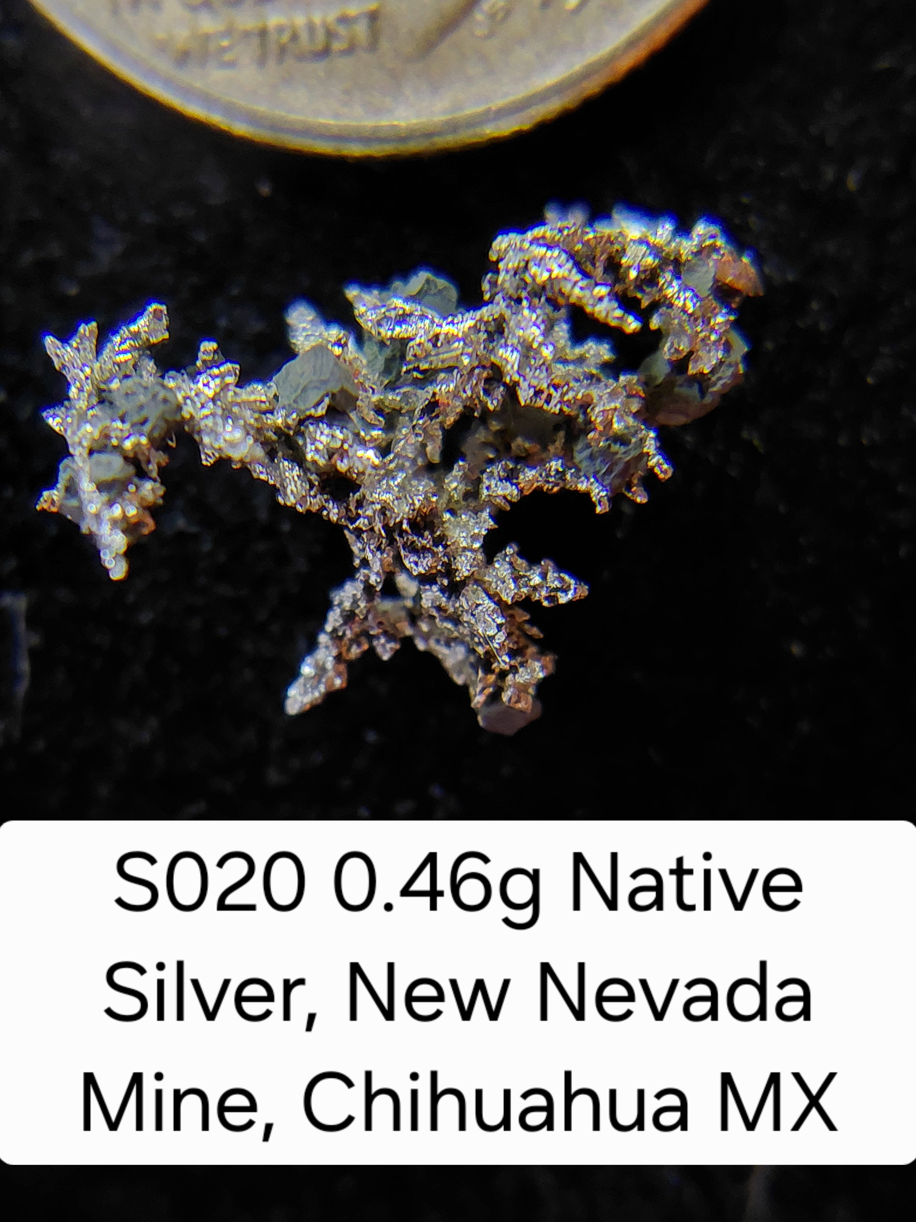 S020 0.46g Native Silver, New Nevada Mine, Chihuahua MX