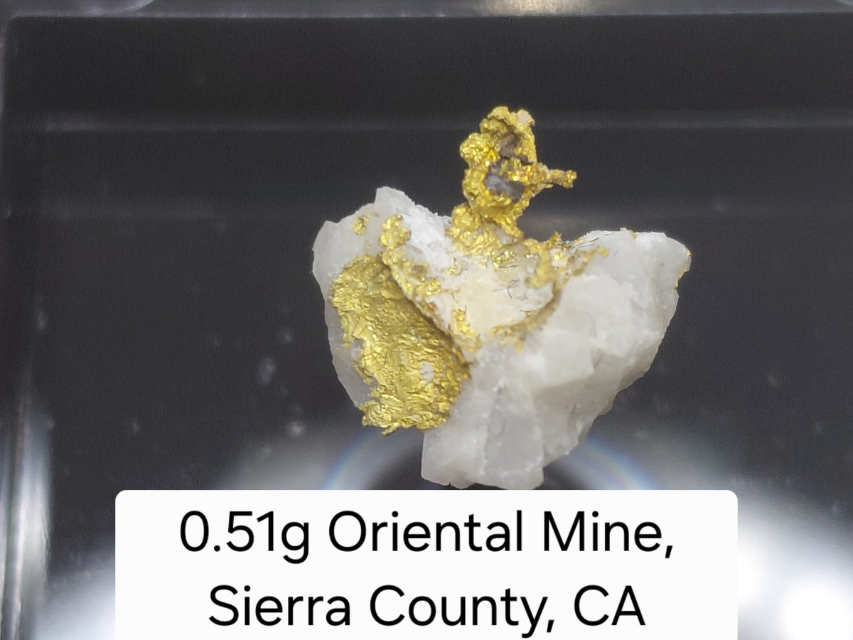 0.51g Natural Gold in Quartz Matrix - Oriental Mine, Sierra County, CA - Micro Specimen