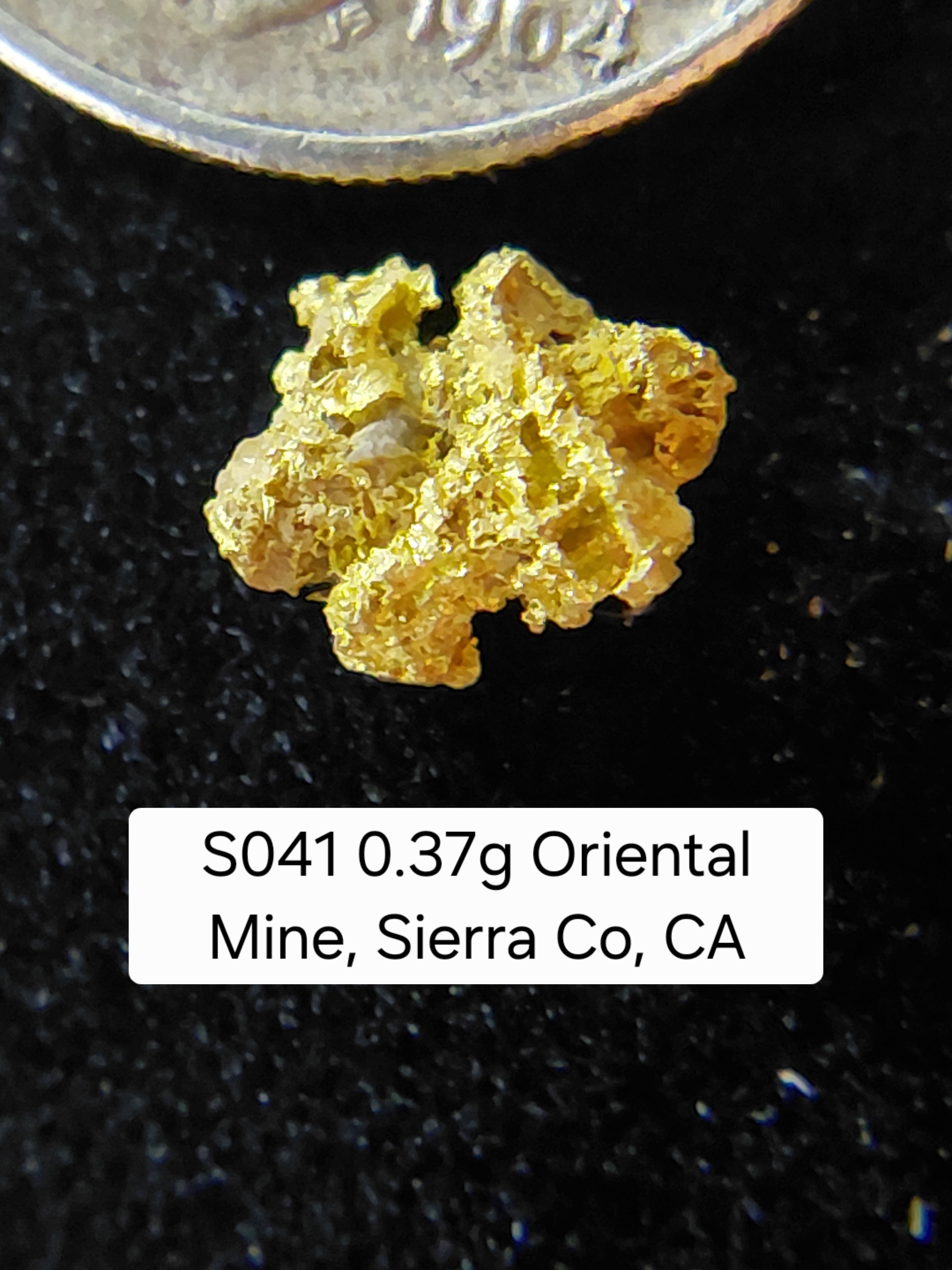 S041 0.37g Oriental Mine, Sierra Co, CA