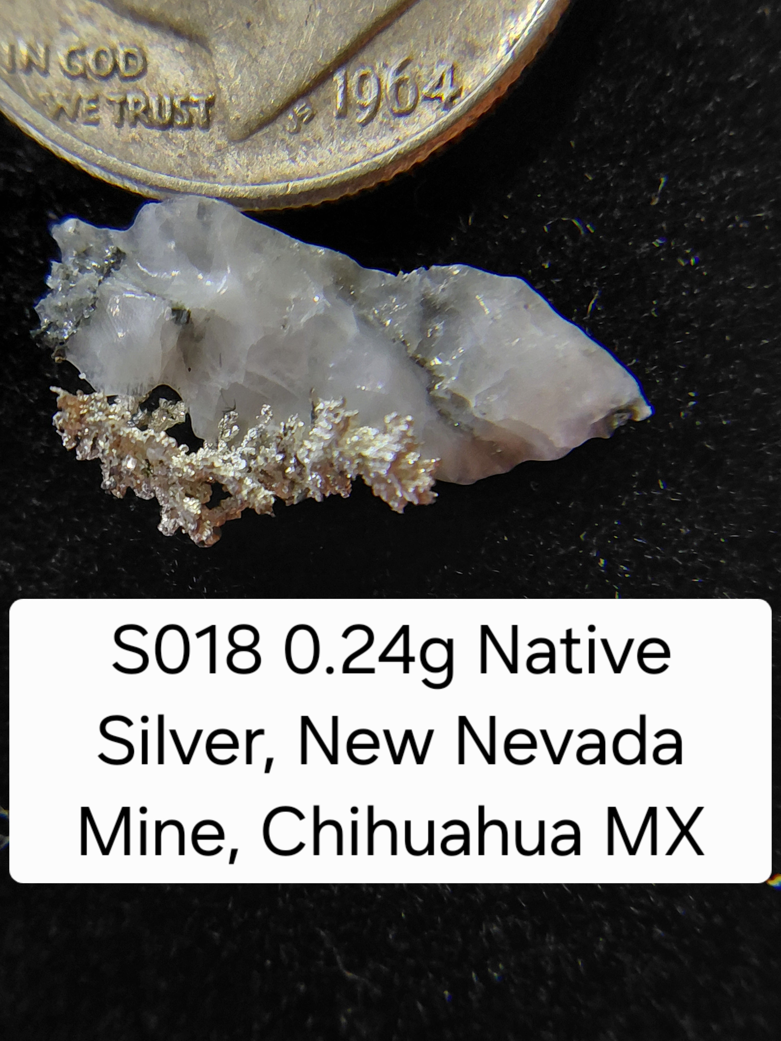 S018 0.24g Native Silver, New Nevada Mine, Chihuahua MX