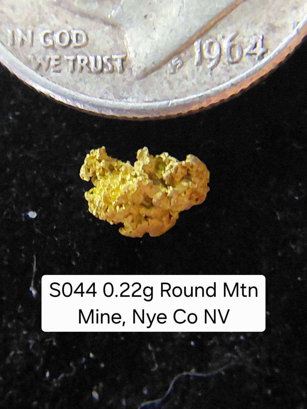 S044 0.22g Round Mtn Mine, Nye Co NV