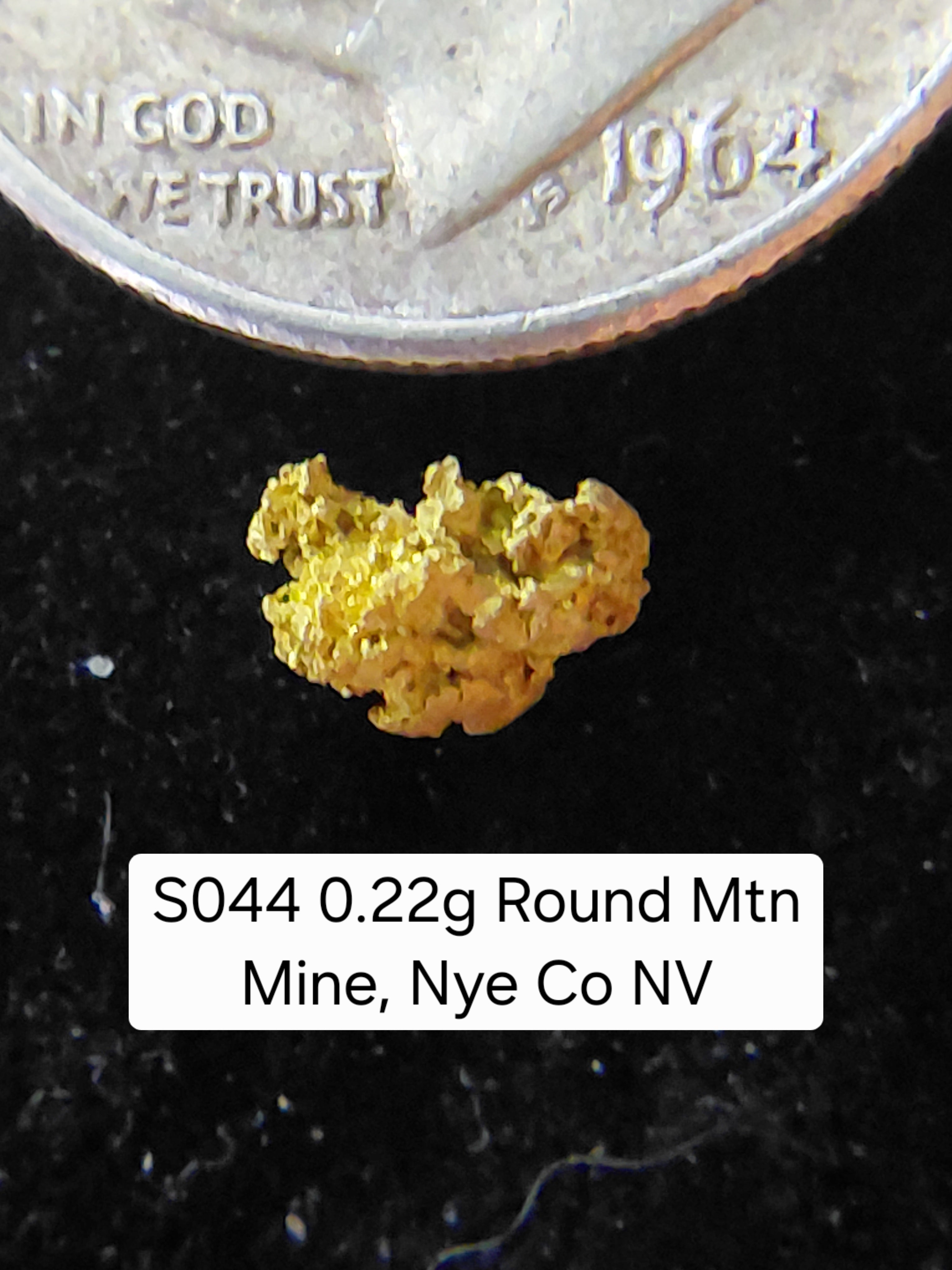 S044 0.22g Round Mtn Mine, Nye Co NV