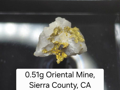 0.51g Natural Gold in Quartz Matrix - Oriental Mine, Sierra County, CA - Micro Specimen