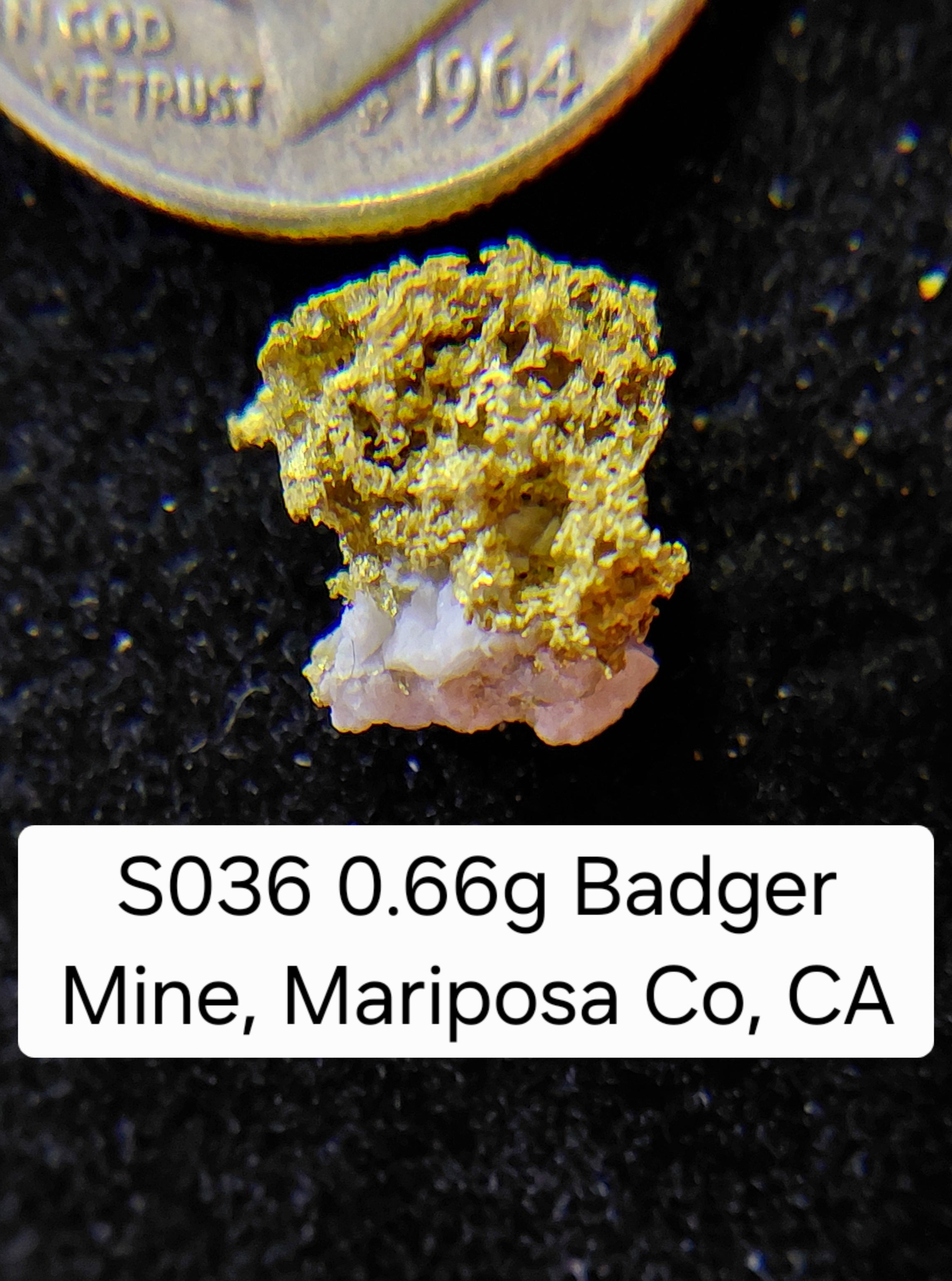 S036 0.66g Badger Mine, Mariposa Co, CA