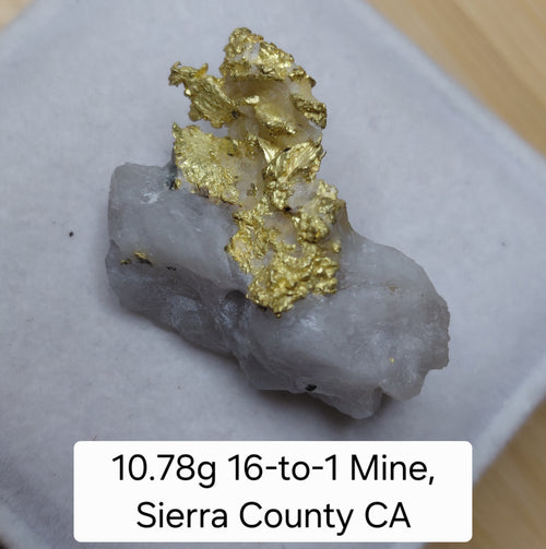 "Golden Wing" 10.78g, 16-to-1 Mine, Sierra County CA