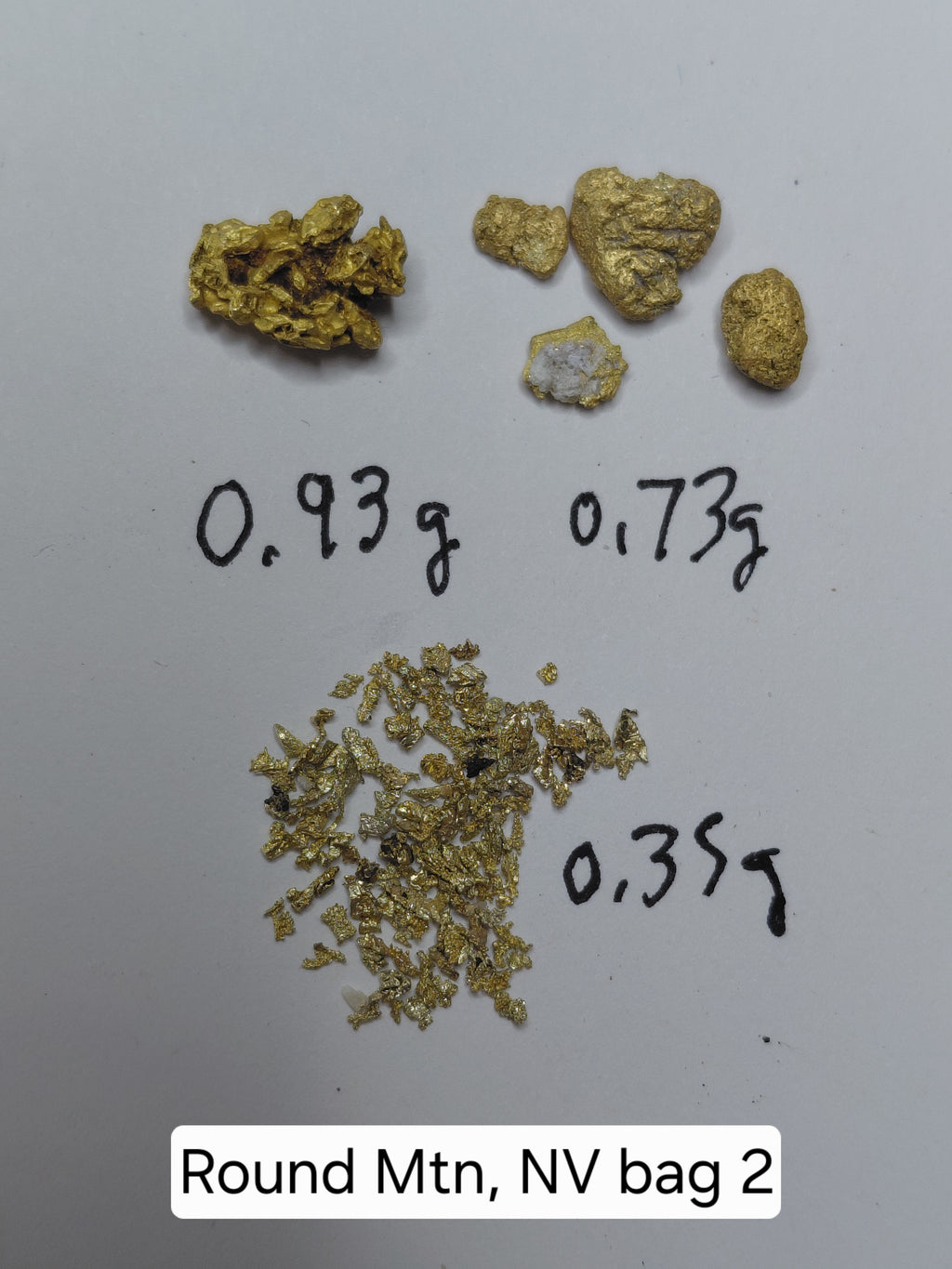 OLD SPESSIE (RM2) - Guaranteed Gold Paydirt Plus One Gold Specimen