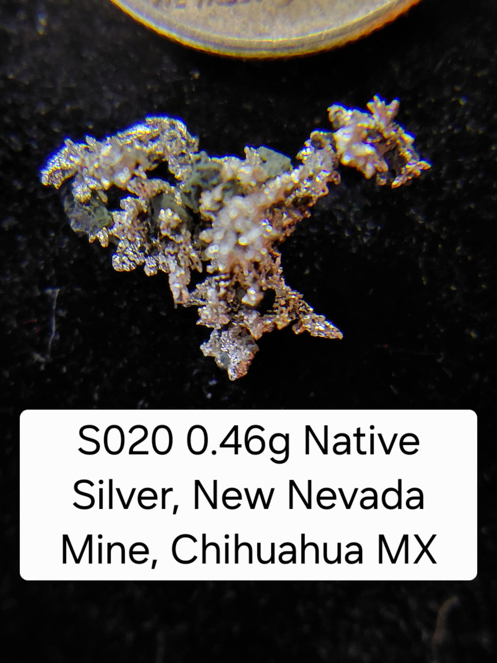 S020 0.46g Native Silver, New Nevada Mine, Chihuahua MX