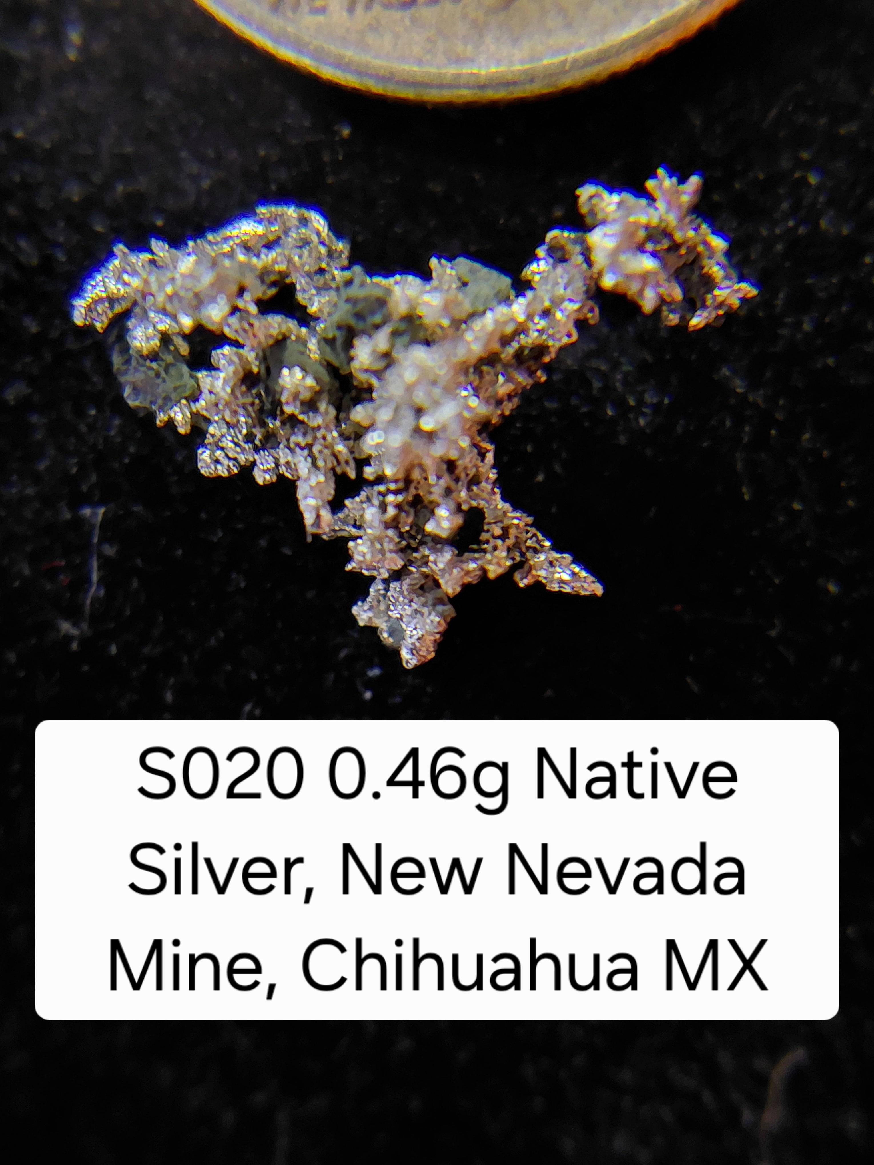 S020 0.46g Native Silver, New Nevada Mine, Chihuahua MX