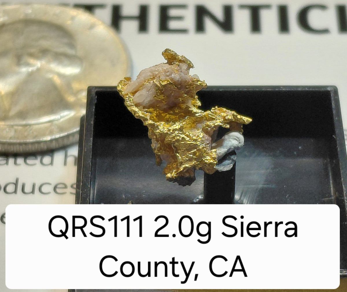 QRS111 2.0g Crystalline Gold, Sierra County, CA