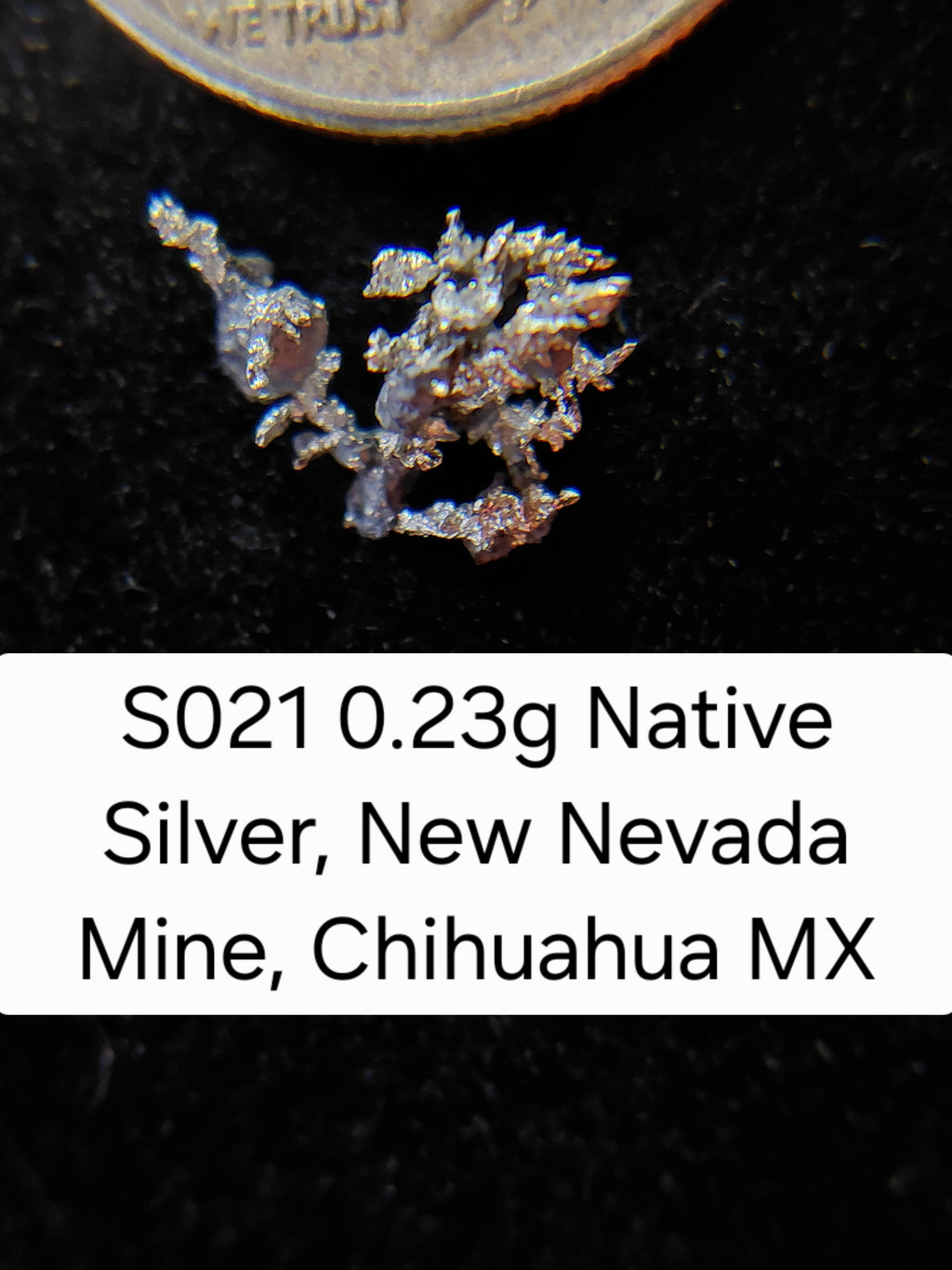 S021 0.23g Native Silver, New Nevada Mine, Chihuahua MX