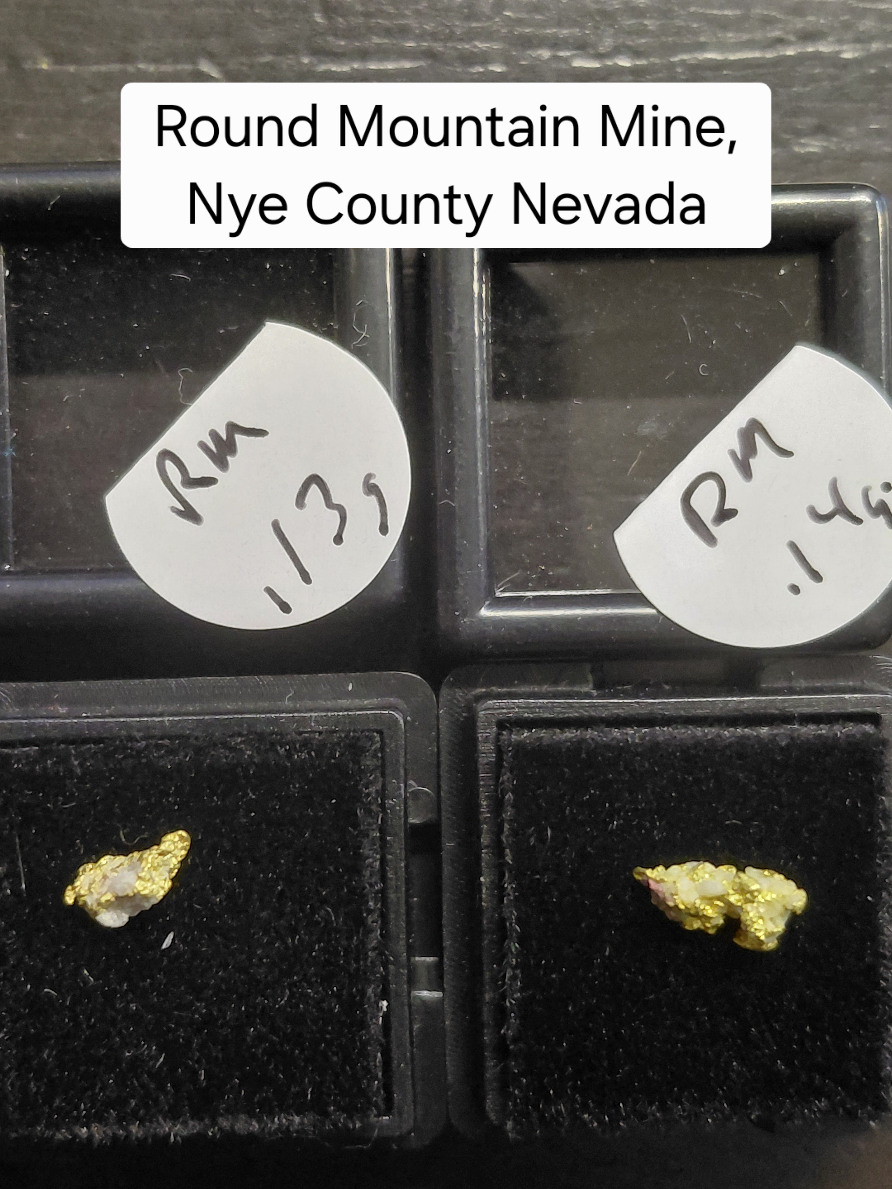OLD SPESSIE - Guaranteed Gold Paydirt Plus One Gold Specimen