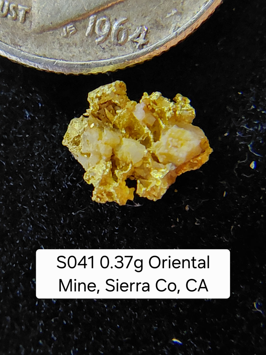 S041 0.37g Oriental Mine, Sierra Co, CA