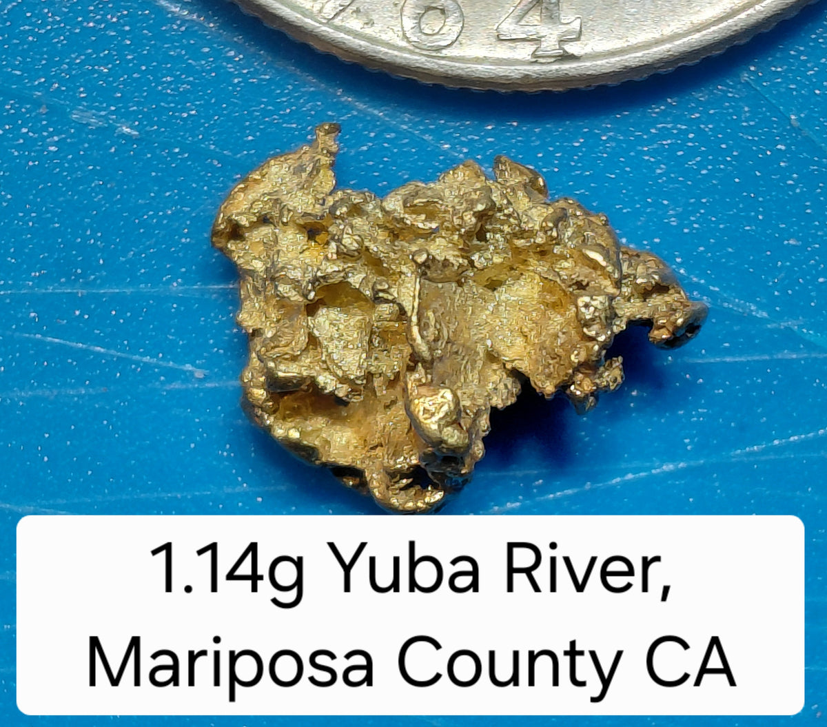 Big @ss Specimen - One Museum-Quality Specimen & Placer Gold Paydirt