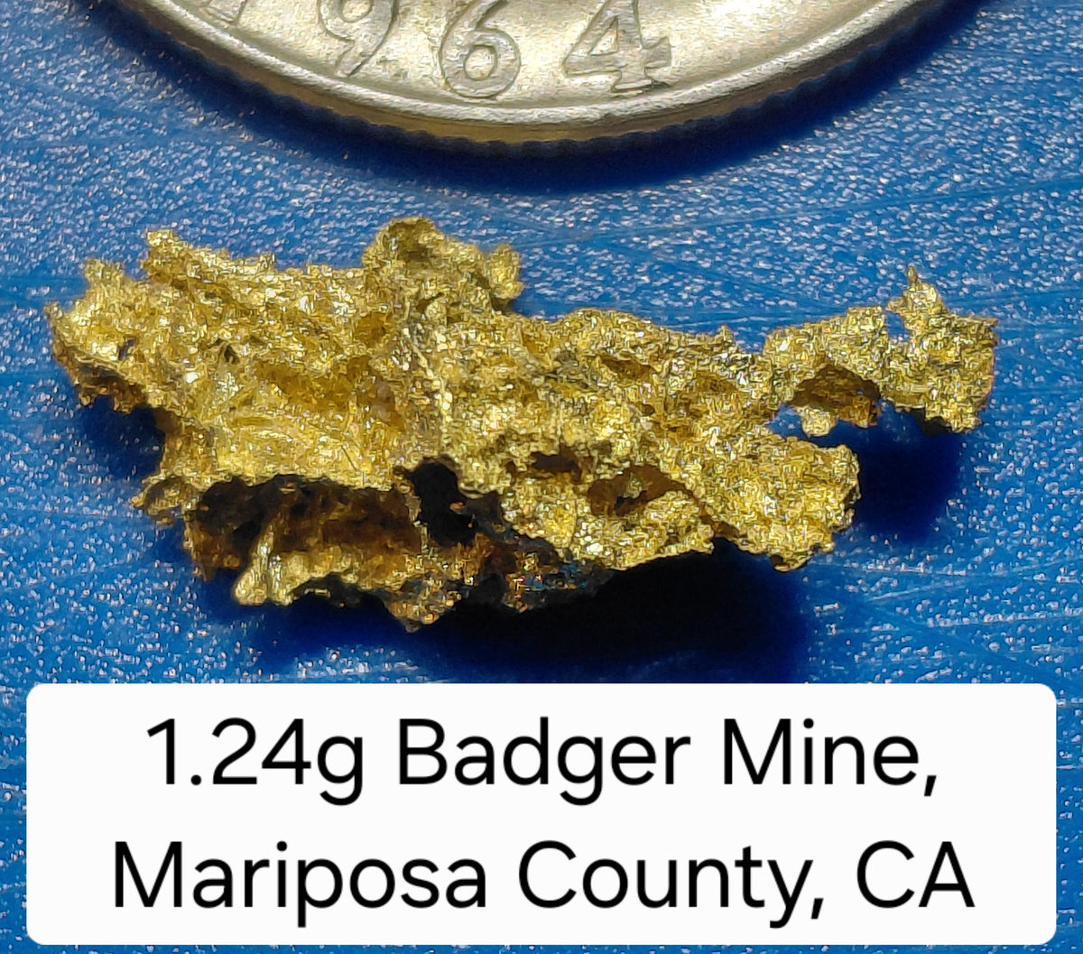 Big @ss Specimen - One Museum-Quality Specimen & Placer Gold Paydirt