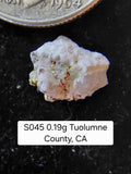 S045 0.19g Tuolumne County, CA