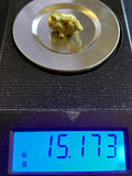 "Meterorite" 15.2 g Australian Gold Nugget