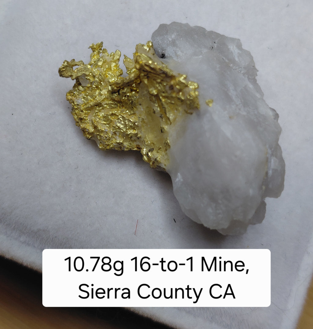"Golden Wing" 10.78g, 16-to-1 Mine, Sierra County CA