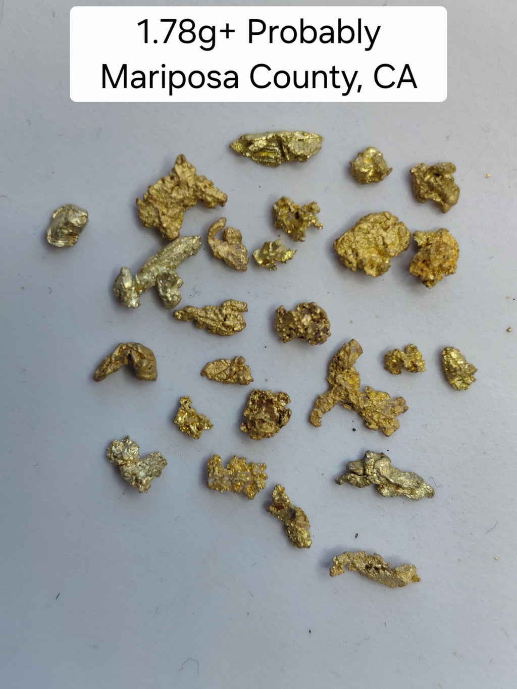 OLD SPESSIE (M1) - Guaranteed Gold Paydirt Plus One Gold Specimen