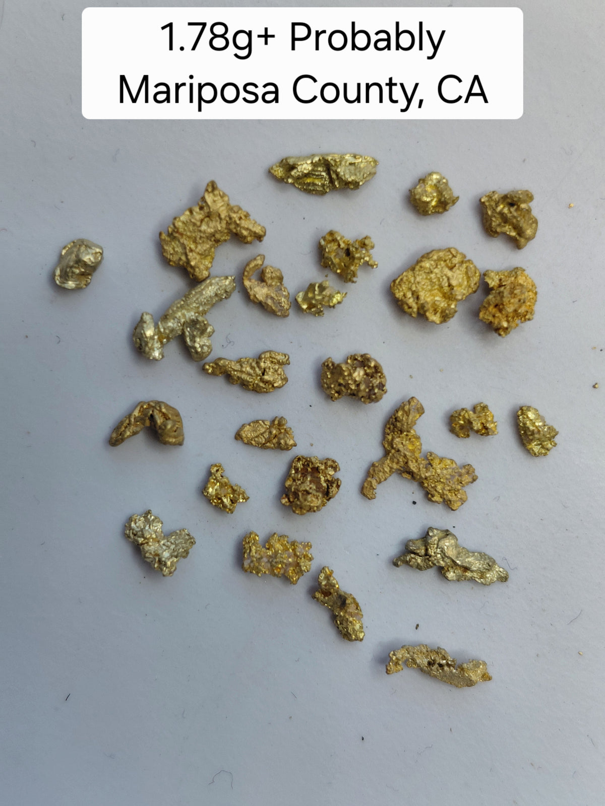 OLD SPESSIE (M1) - Guaranteed Gold Paydirt Plus One Gold Specimen
