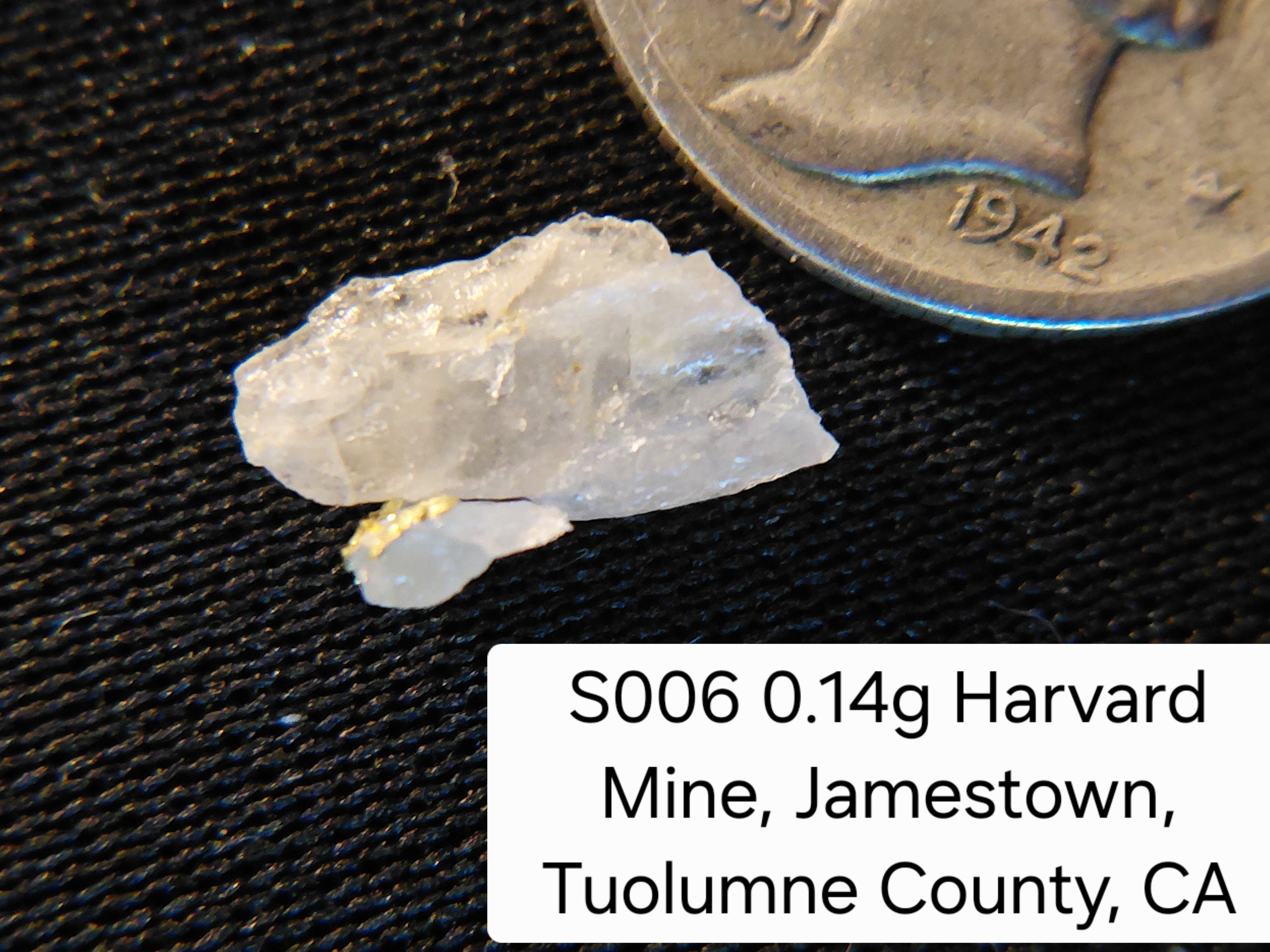 S006 0.14g Harvard Mine, Jamestown, Tuolumne County, CA
