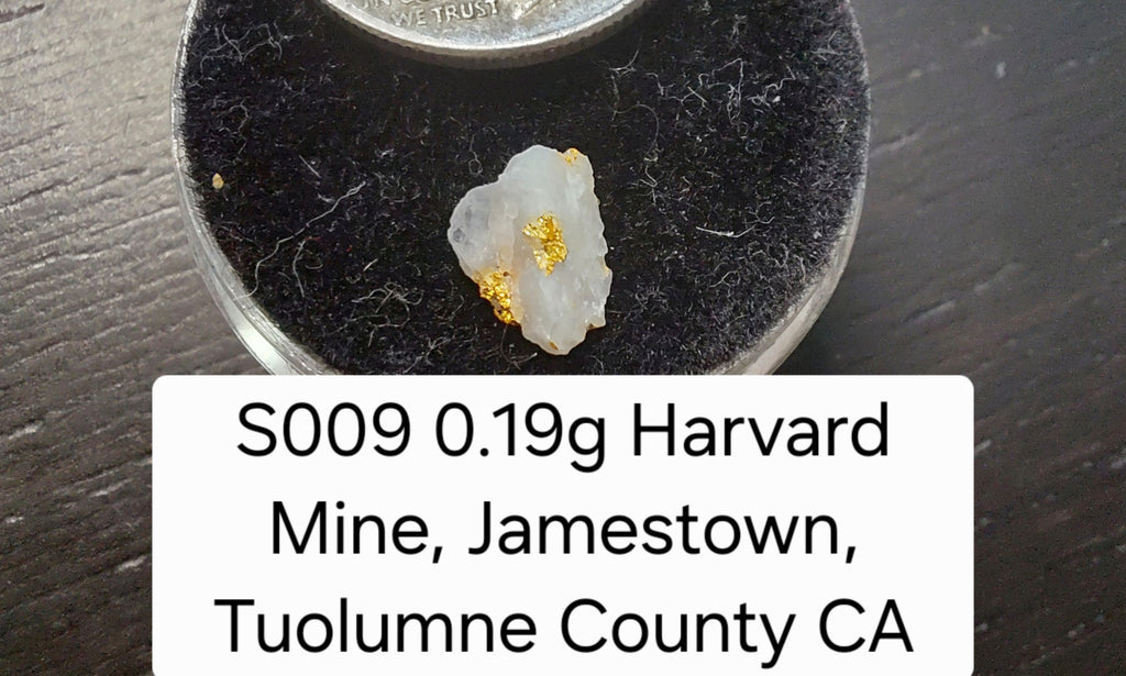 S009 0.19g Harvard Mine, Jamestown, Tuolumne County CA