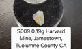 S009 0.19g Harvard Mine, Jamestown, Tuolumne County CA