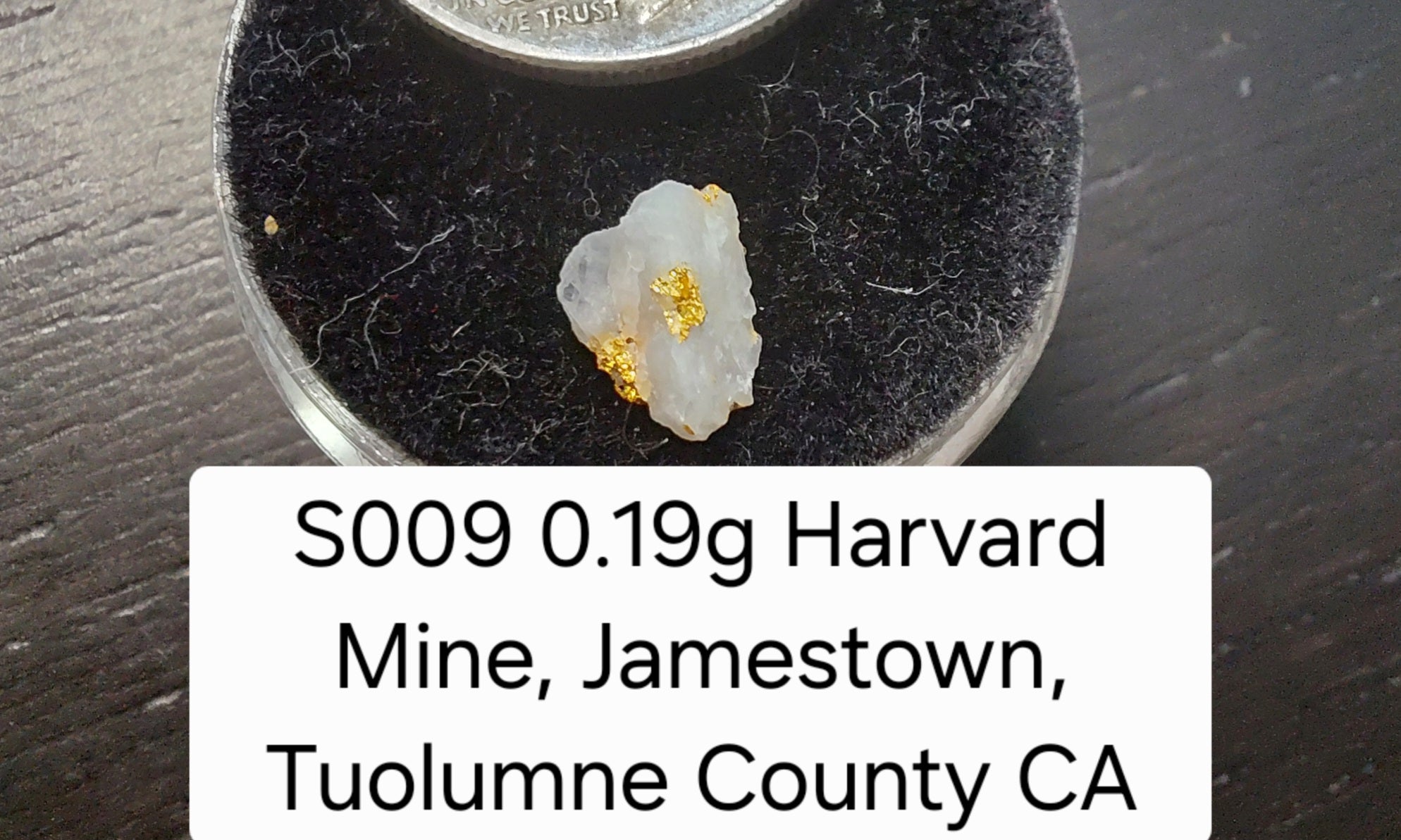 S009 0.19g Harvard Mine, Jamestown, Tuolumne County CA