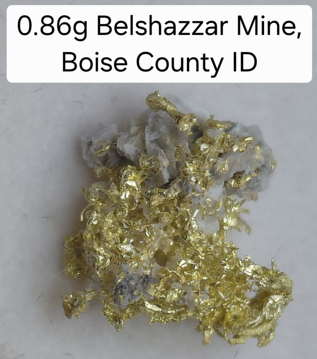 0.86g Wire Gold Filigree - Belshazzar Mine, Boise County, Idaho - Rare Specimen