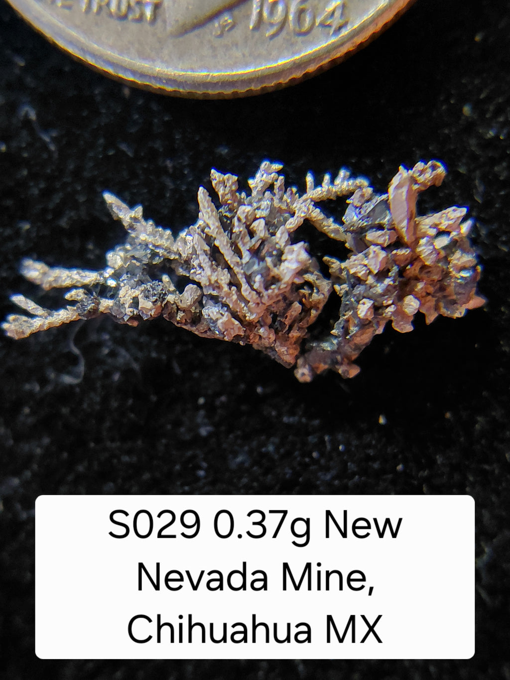 S029 0.37g New Nevada Mine, Chihuahua MX