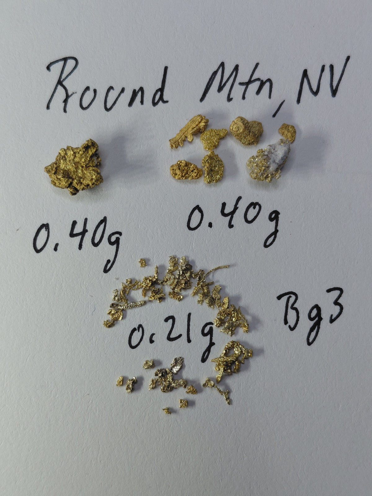 OLD SPESSIE (RM3) - Guaranteed Gold Paydirt Plus One Gold Specimen