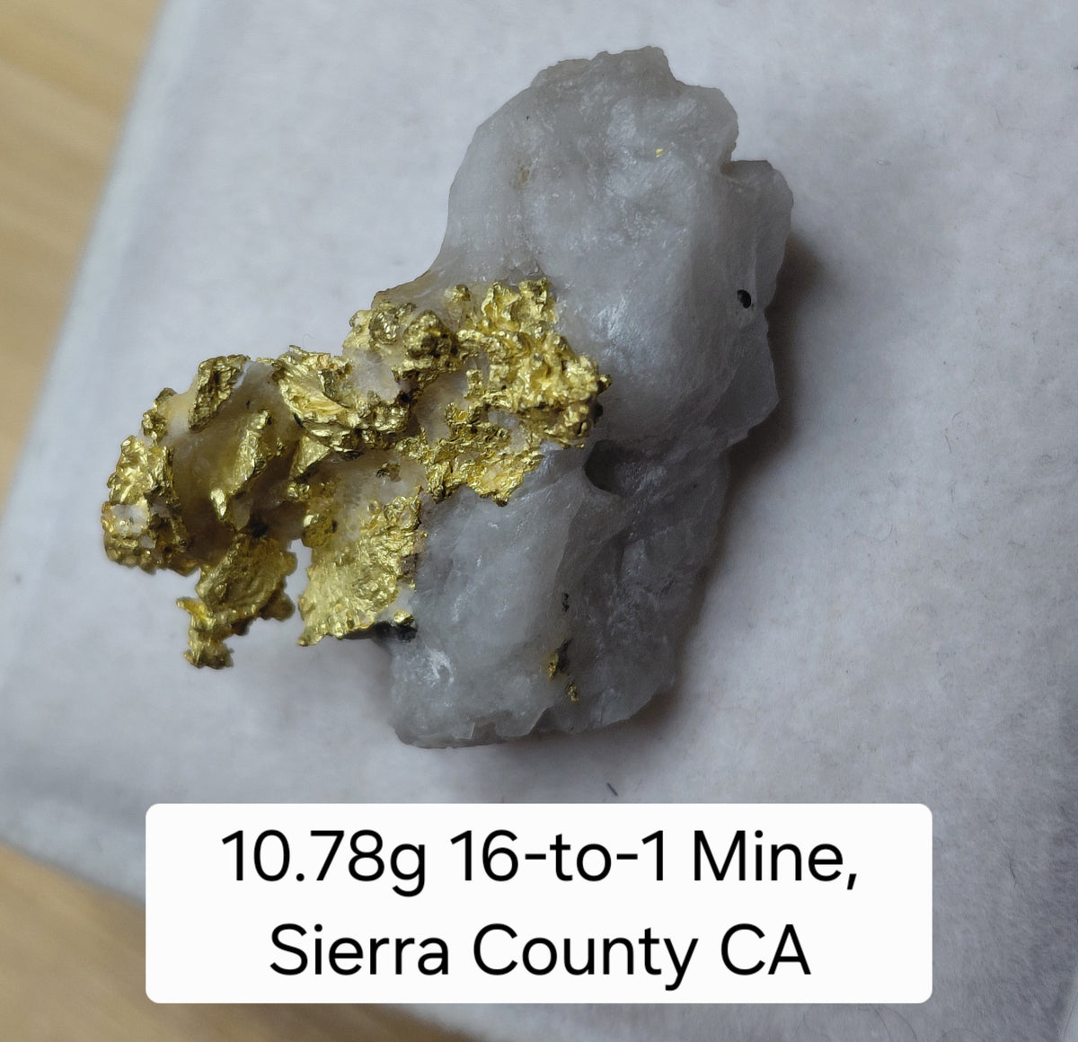 "Golden Wing" 10.78g, 16-to-1 Mine, Sierra County CA